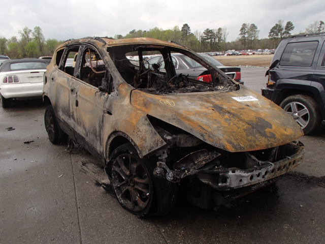 1FMCU0H91DUC59014 - 2013 FORD ESCAPE SEL BURN photo 1