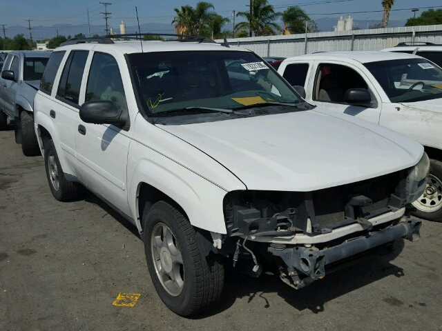 1GNDT13S472165096 - 2007 CHEVROLET TRAILBLAZE WHITE photo 1