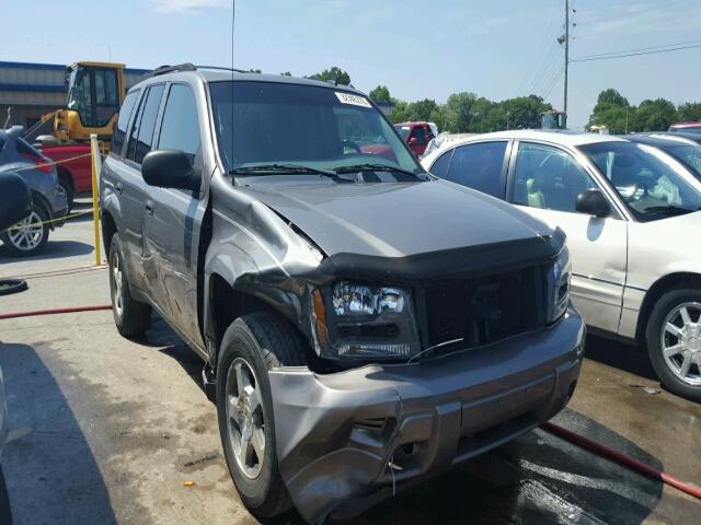 1GNDS13S262100491 - 2006 CHEVROLET TRAILBLAZE GOLD photo 1