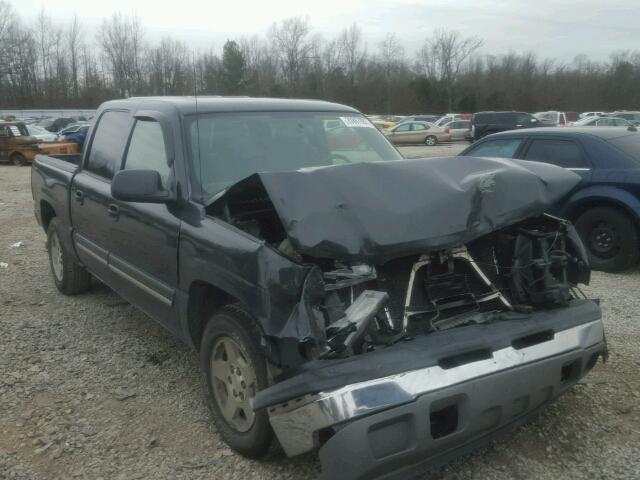 2GCEC13T751132192 - 2005 CHEVROLET SILVERADO GRAY photo 1