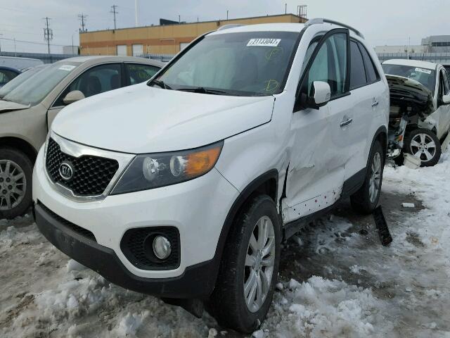 5XYKU3A28BG052908 - 2011 KIA SORENTO EX WHITE photo 2