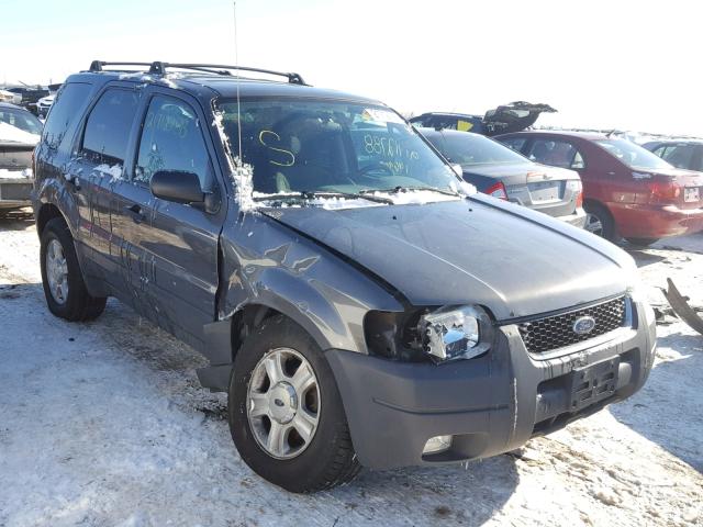 1FMCU93144DA04900 - 2004 FORD ESCAPE XLT GRAY photo 1