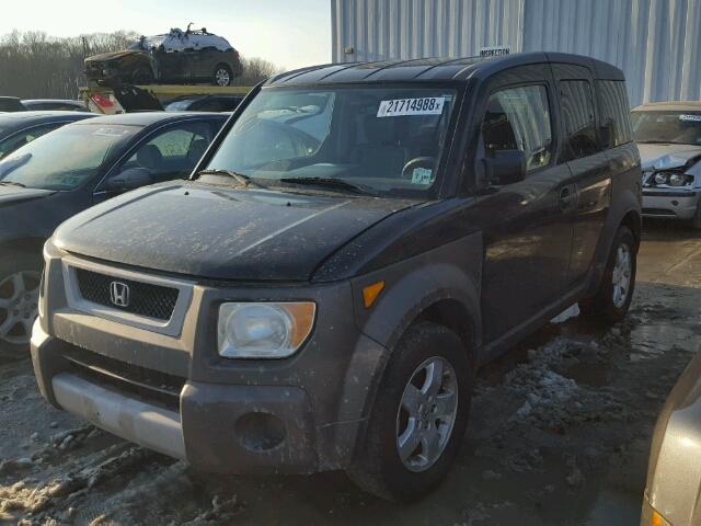 5J6YH28583L032943 - 2003 HONDA ELEMENT EX BLACK photo 2