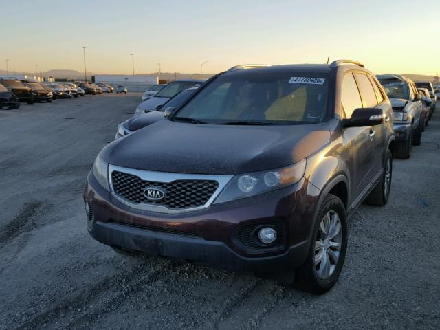 5XYKU4A1XBG047531 - 2011 KIA SORENTO EX BURGUNDY photo 2