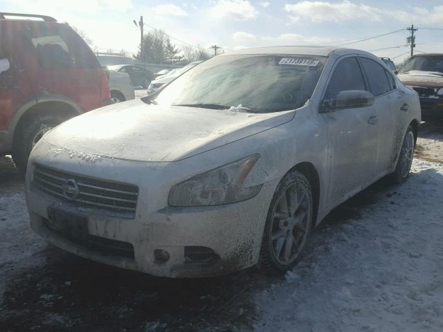 1N4AA5AP0AC864482 - 2010 NISSAN MAXIMA S WHITE photo 2