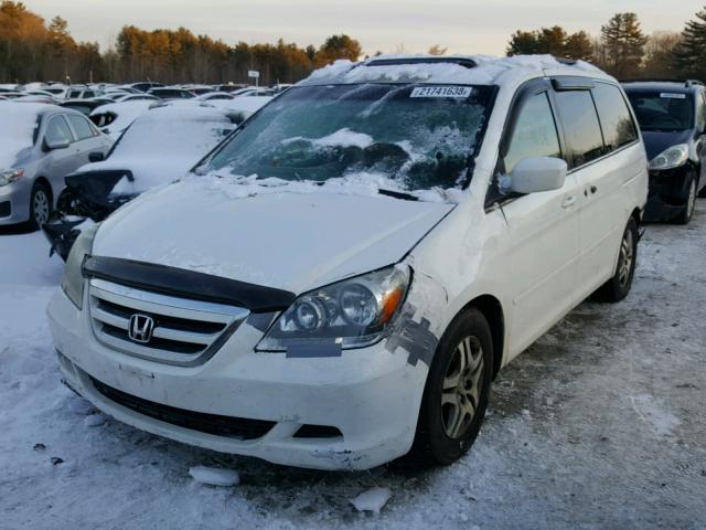 5FNRL38485B000733 - 2005 HONDA ODYSSEY EX WHITE photo 2