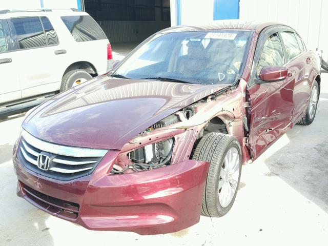 1HGCP2F74CA056578 - 2012 HONDA ACCORD EX RED photo 2