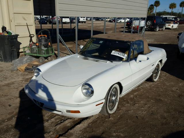 ZARBB42N4M6010798 - 1991 ALFA ROMEO SPIDER VEL WHITE photo 2