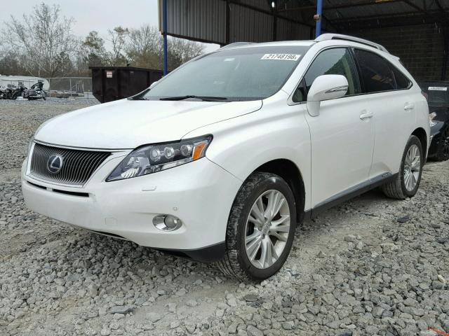 JTJBC1BA7A2023516 - 2010 LEXUS RX 450 WHITE photo 2