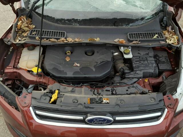 1FMCU0J98EUA59131 - 2014 FORD ESCAPE TIT BURGUNDY photo 7