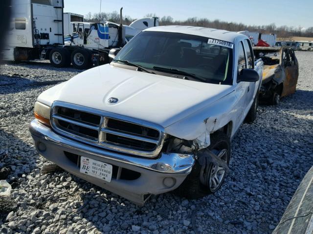 1B7GL2ANX1S211868 - 2001 DODGE DAKOTA QUA WHITE photo 2