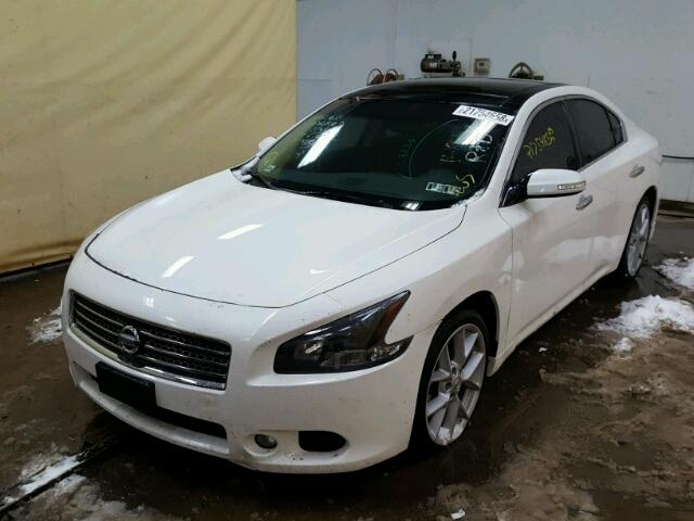 1N4AA5AP6BC851172 - 2011 NISSAN MAXIMA S WHITE photo 2