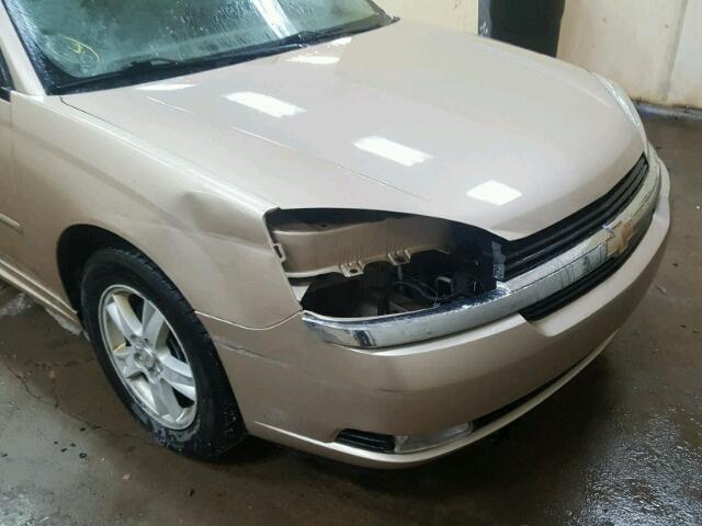 1G1ZU64895F173916 - 2005 CHEVROLET MALIBU MAX 棕色 照片 9