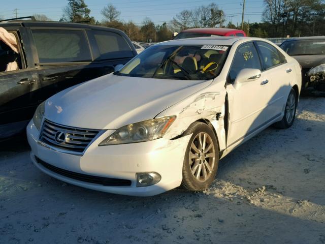 JTHBK1EG3A2386979 - 2010 LEXUS ES 350 WHITE photo 2