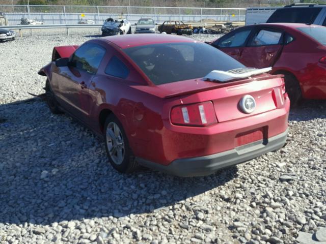 1ZVBP8AN1A5117228 - 2010 FORD MUSTANG RED photo 3