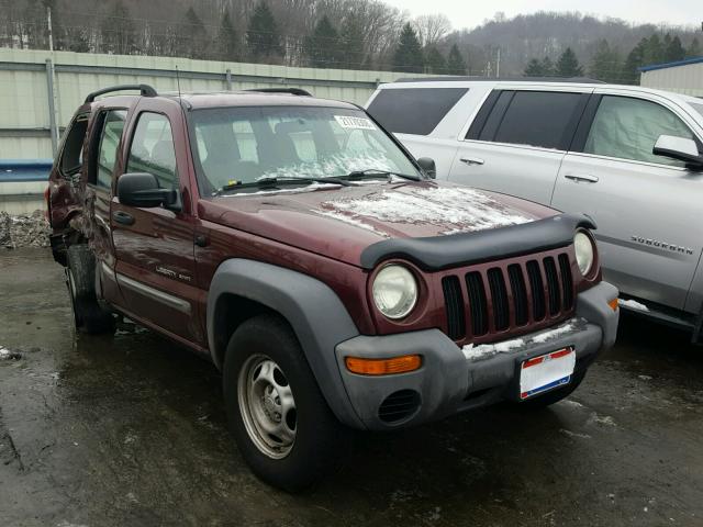 1J8GL48K12W209792 - 2002 JEEP LIBERTY SP PURPLE photo 1