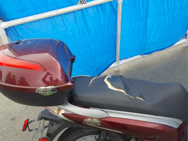 ZDCKF1011AF000540 - 2010 HONDA SH150 D RED photo 6