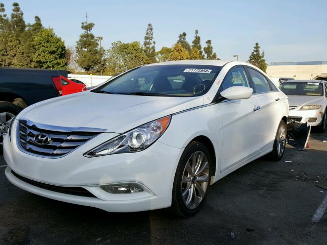 5NPEC4AC2DH766558 - 2013 HYUNDAI SONATA SE WHITE photo 2