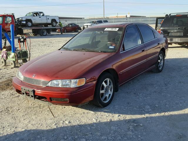 1HGCD5655RA168968 - 1994 HONDA ACCORD EX RED photo 2