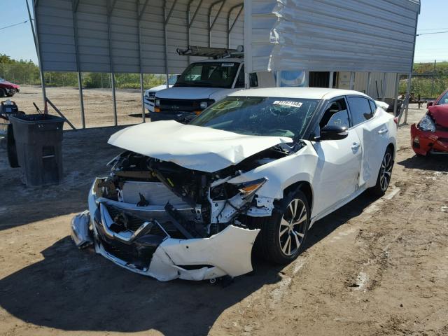 1N4AA6AP7HC430625 - 2017 NISSAN MAXIMA 3.5 WHITE photo 2