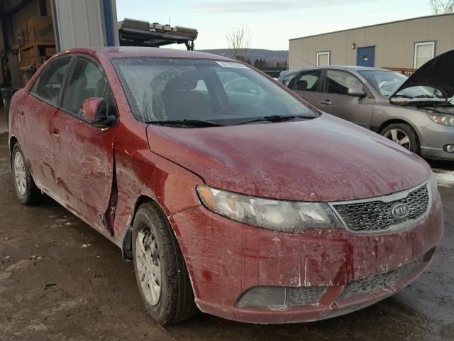 KNAFU4A23C5555003 - 2012 KIA FORTE EX RED photo 1