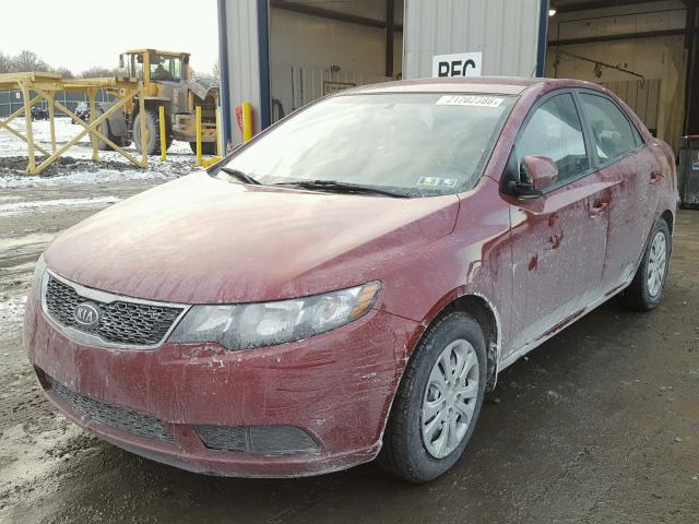 KNAFU4A23C5555003 - 2012 KIA FORTE EX RED photo 2