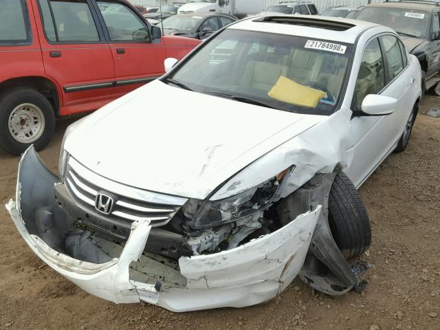 1HGCP3F82CA038787 - 2012 HONDA ACCORD EXL WHITE photo 2