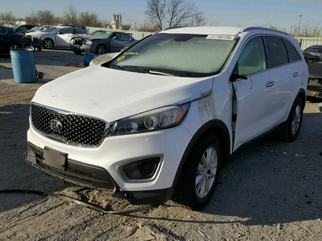 5XYPG4A3XGG033649 - 2016 KIA SORENTO LX WHITE photo 2