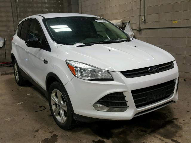 1FMCU0GX2DUB09705 - 2013 FORD ESCAPE SE WHITE photo 1