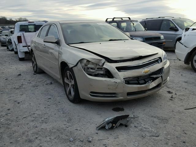 1G1ZF57549F117586 - 2009 CHEVROLET MALIBU HYB 金色 照片 1