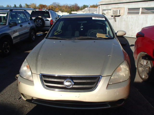 1N4AL11DX2C241316 - 2002 NISSAN ALTIMA/S/S GOLD photo 10