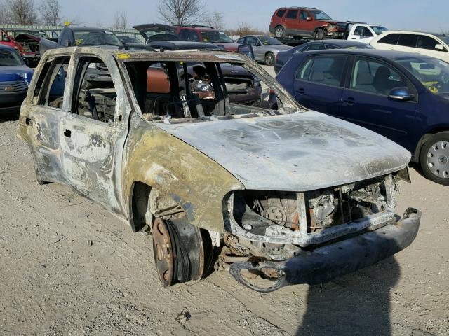 1GNDS13S962113996 - 2006 CHEVROLET TRAILBLAZE BURN photo 1