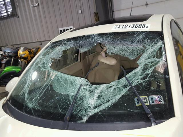 3VWRW31C97M513767 - 2007 VOLKSWAGEN NEW BEETLE 奶油色 照片 9