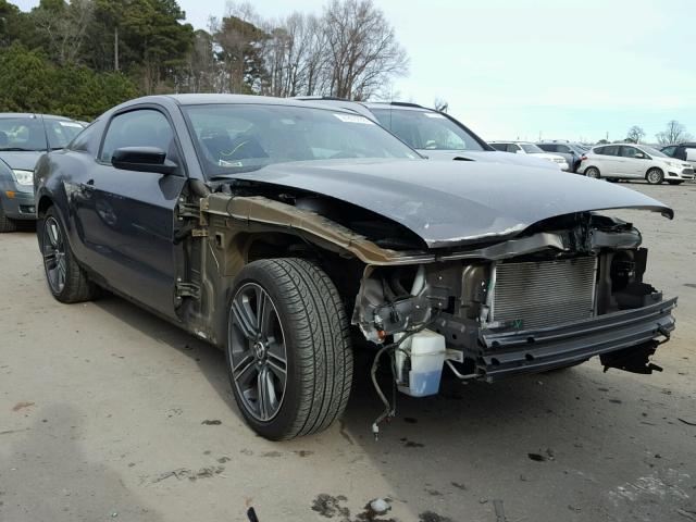 1ZVBP8AM9D5265509 - 2013 FORD MUSTANG GRAY photo 1