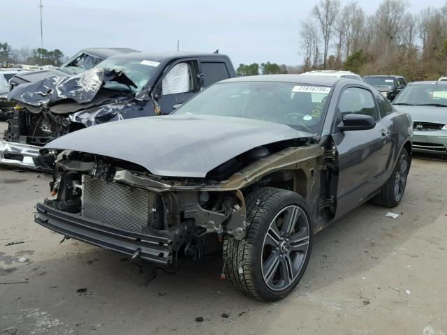 1ZVBP8AM9D5265509 - 2013 FORD MUSTANG GRAY photo 2