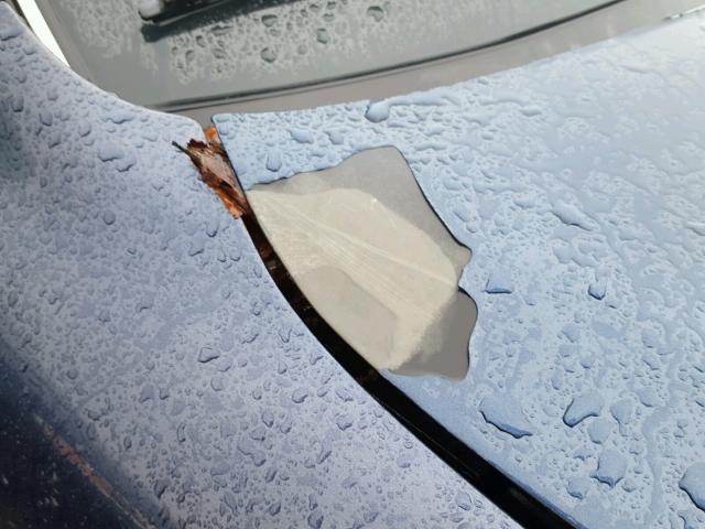 JT2GK12E8S0096558 - 1995 TOYOTA CAMRY LE ლურჯი ფოტო 9