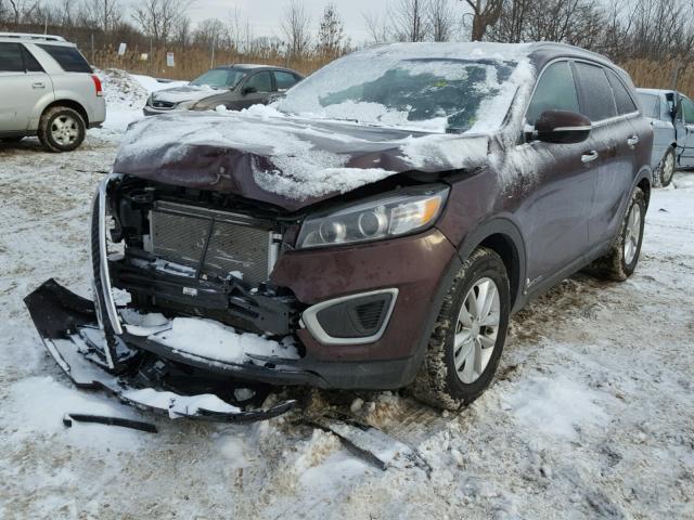 5XYPGDA50HG313647 - 2017 KIA SORENTO LX MAROON photo 2