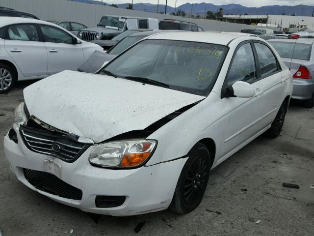 KNAFE122785583193 - 2008 KIA SPECTRA EX WHITE photo 2