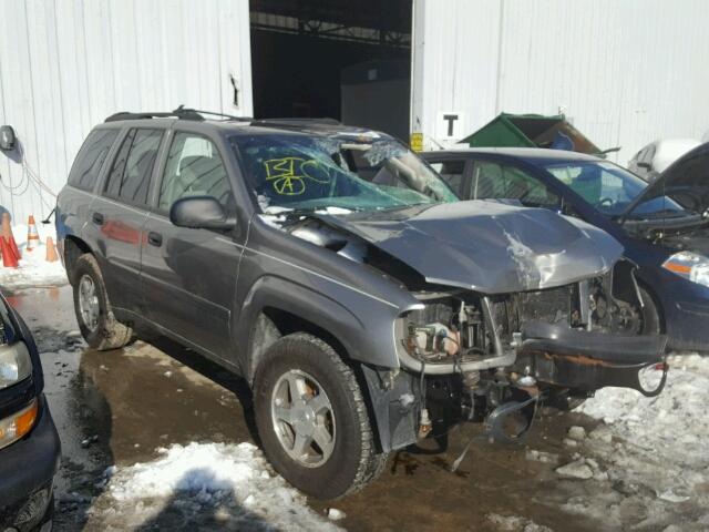 1GNDT13S962236002 - 2006 CHEVROLET TRAILBLAZE SILVER photo 1