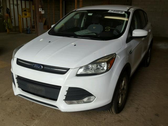 1FMCU9GX2EUA88683 - 2014 FORD ESCAPE SE WHITE photo 2