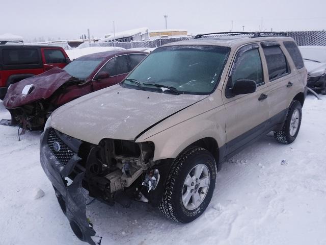 1FMYU93187KA11953 - 2007 FORD ESCAPE XLT TAN photo 2