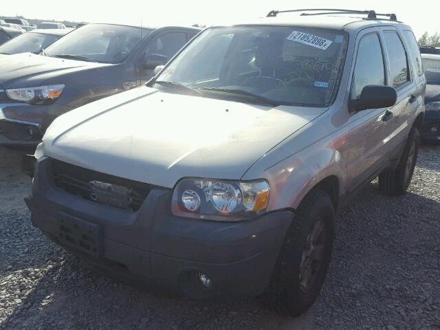 1FMYU03115KA52224 - 2005 FORD ESCAPE XLT BEIGE photo 2