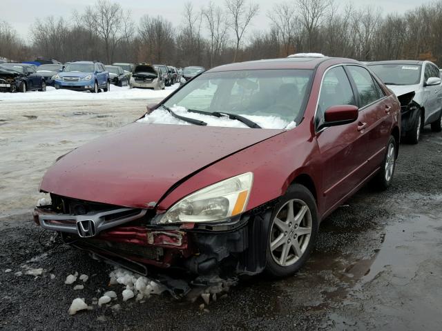 1HGCM66524A086078 - 2004 HONDA ACCORD EX RED photo 2