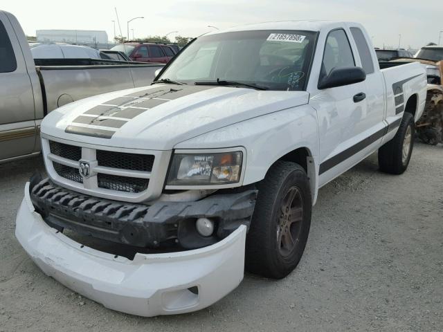 1D7RE3BKXBS529557 - 2011 DODGE DAKOTA SLT WHITE photo 2