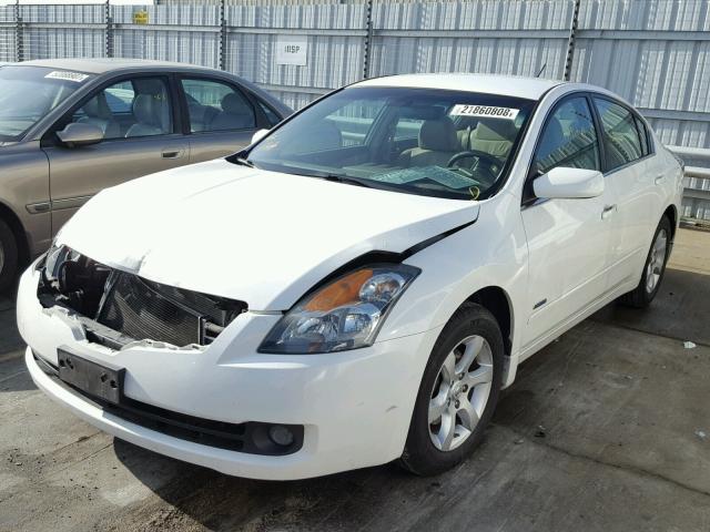 1N4CL21E89C114078 - 2009 NISSAN ALTIMA HYB WHITE photo 2