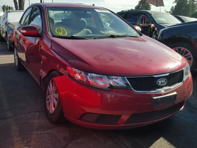 KNAFU4A24A5191896 - 2010 KIA FORTE EX RED photo 1