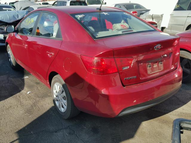 KNAFU4A24A5191896 - 2010 KIA FORTE EX RED photo 3