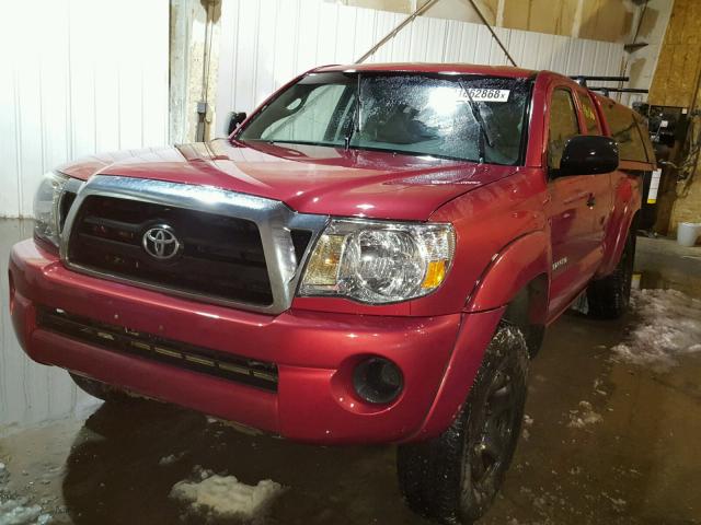 5TEUX42N66Z278455 - 2006 TOYOTA TACOMA ACC RED photo 2