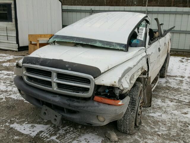 1D7HG38K14S665088 - 2004 DODGE DAKOTA QUA WHITE photo 2