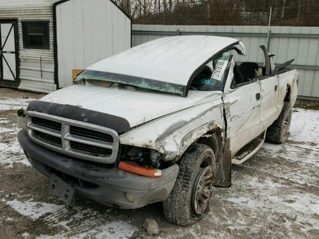 1D7HG38K14S665088 - 2004 DODGE DAKOTA QUA WHITE photo 9